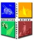 Liceul Teoretic ”Onisifor Ghibu” Sibiu